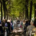 Six mistakes to avoid when planning a wedding